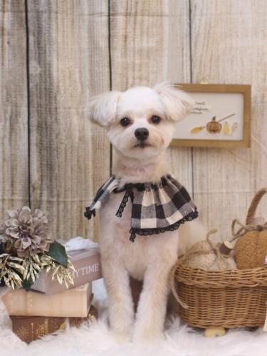 20241017ヌンくん